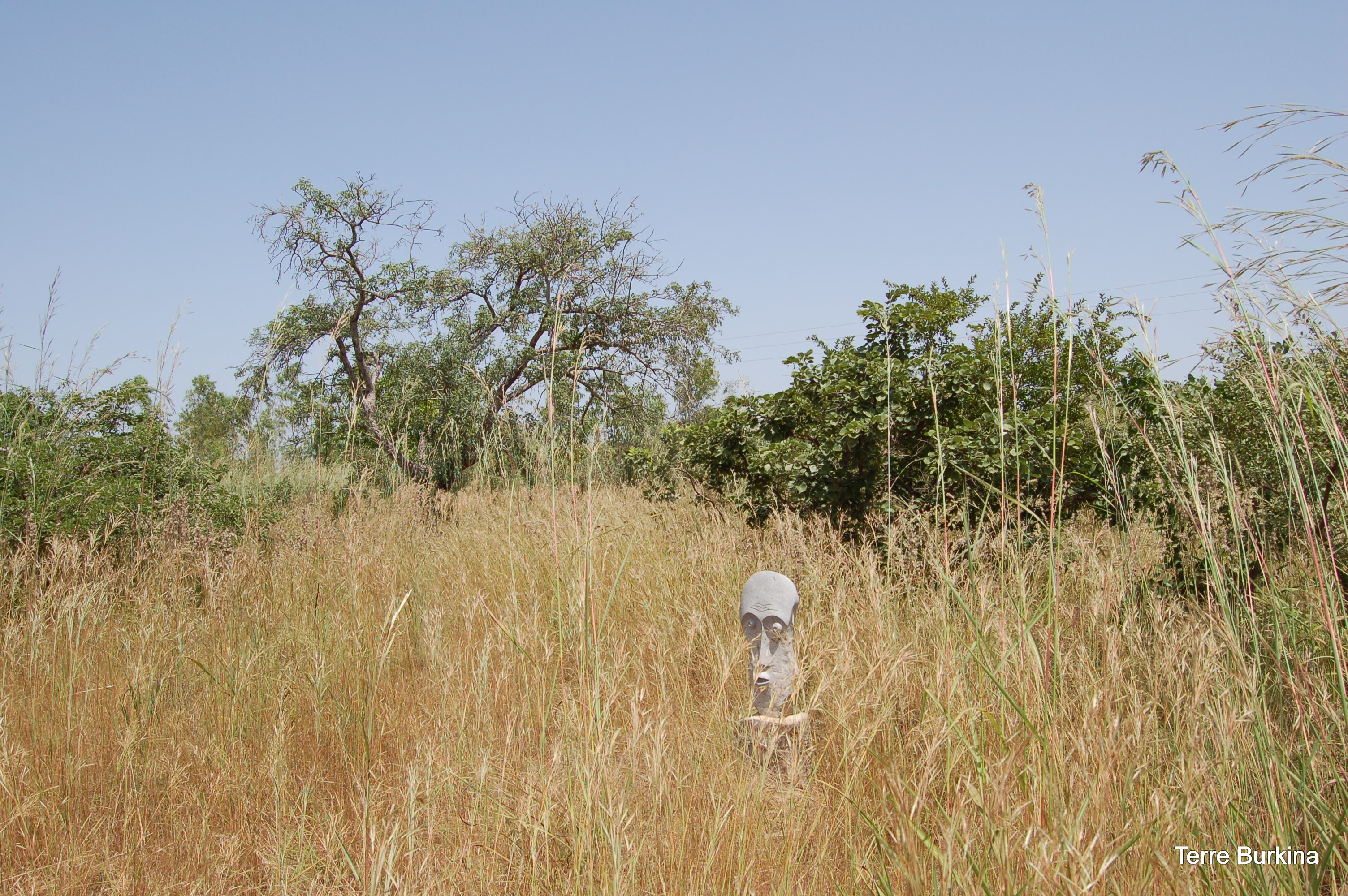 5b9d2da15432a_Photo 013.JPG